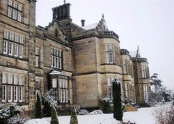 Christmas holiday for expectant parents