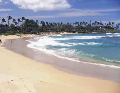 A Maui Beach